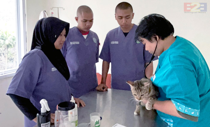 Klinik Hewan, Polbangtan Kementan gelar Vaksinasi Rabies Gratis untuk Anabul