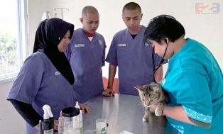 Klinik Hewan, Polbangtan Kementan gelar Vaksinasi Rabies Gratis untuk Anabul