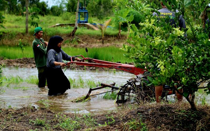 Kompetensi SDM, Kementan gelar Bimtek Pemagangan Petani Muda Kalsel