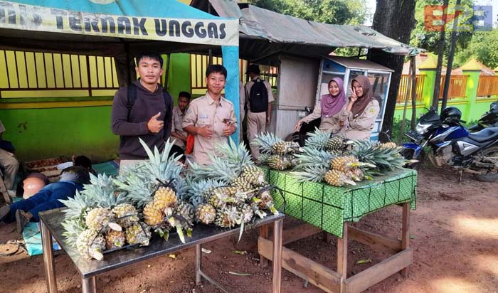 Siswa SMK-PP Negeri Kementan Sukses Kembangkan Nanas dalam Teaching Factory