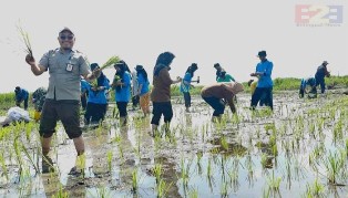 Upsus Darurat Pangan, SMK-PP Kementan Terjunkan Siswa ke Lahan Pertanian