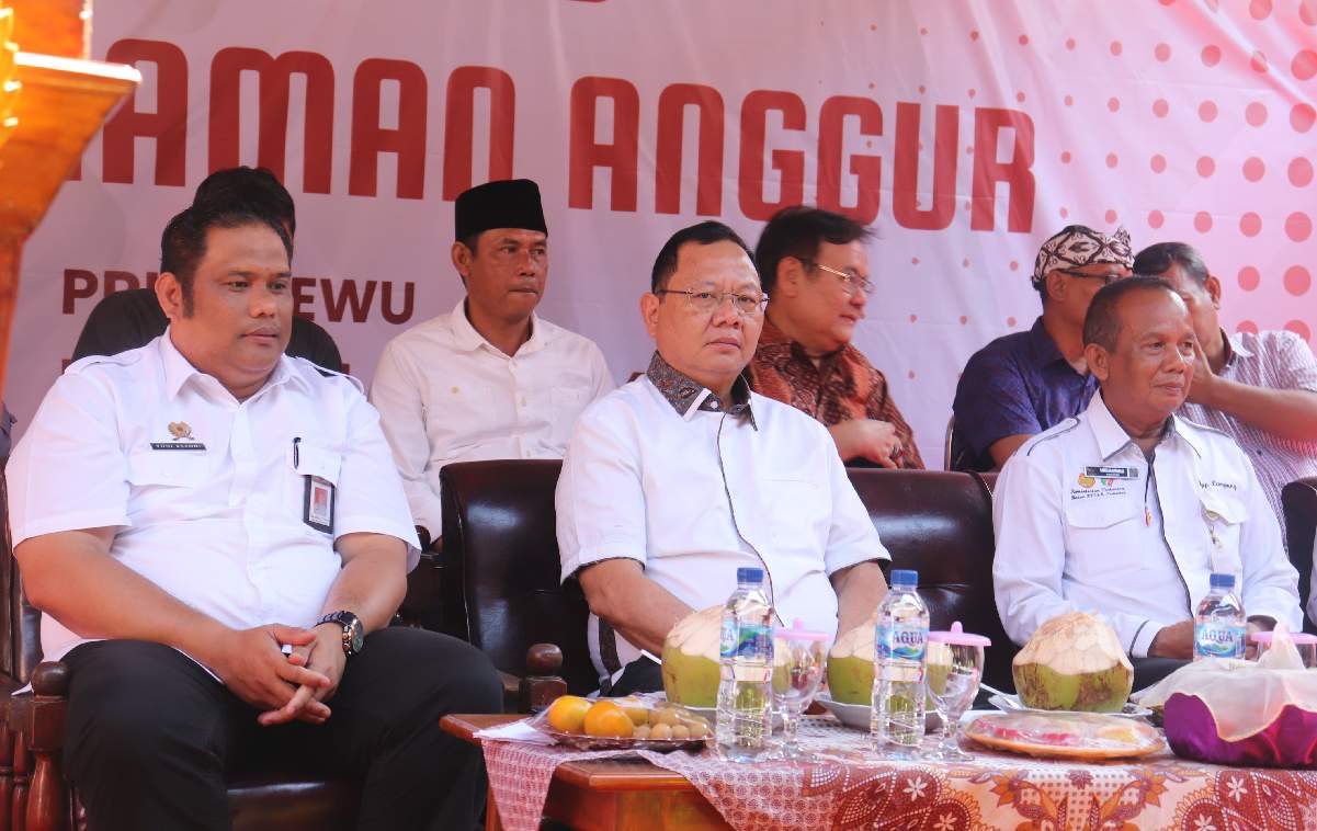 Sinergi DPR, Kementan gelar Bimtek Agribisnis Anggur di Lampung