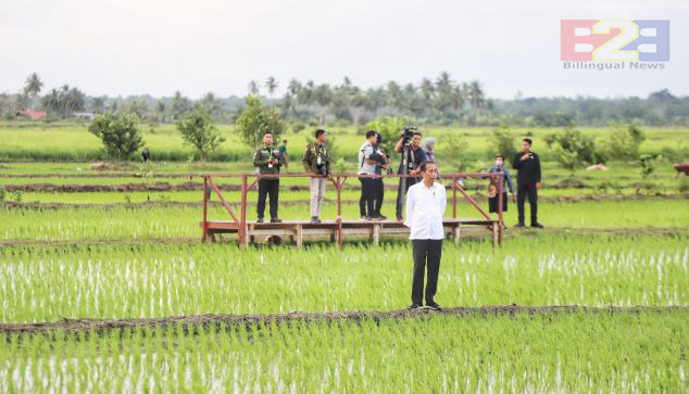 Smart Farming, Presiden Jokowi Tinjau Simulasi Drone Tabur Pupuk di Papua Selatan