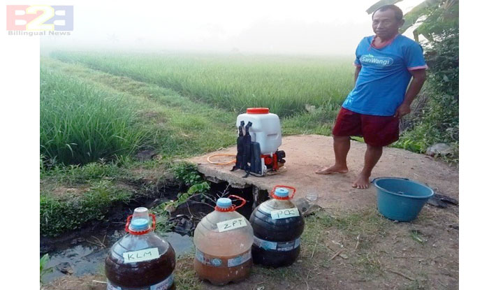 Pengendalian OPT Padi, Petani CSA Doplang Purworejo Pilih Pestisida Nabati