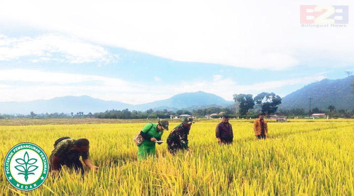 Dukung PAT, Mahasiswa Polbangtan Kementan Petakan Lahan di Karo Sumut