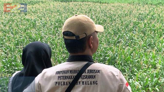 Program PAT Mojokerto, Kementan Pantau Pompanisasi di Kecamatan Jatirejo