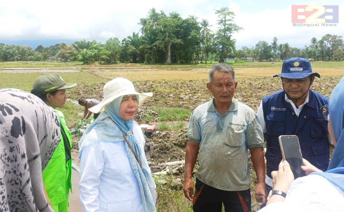 Tingkatkan Produktivitas, Polbangtan Kementan Kawal Oplah di Tapanuli Tengah