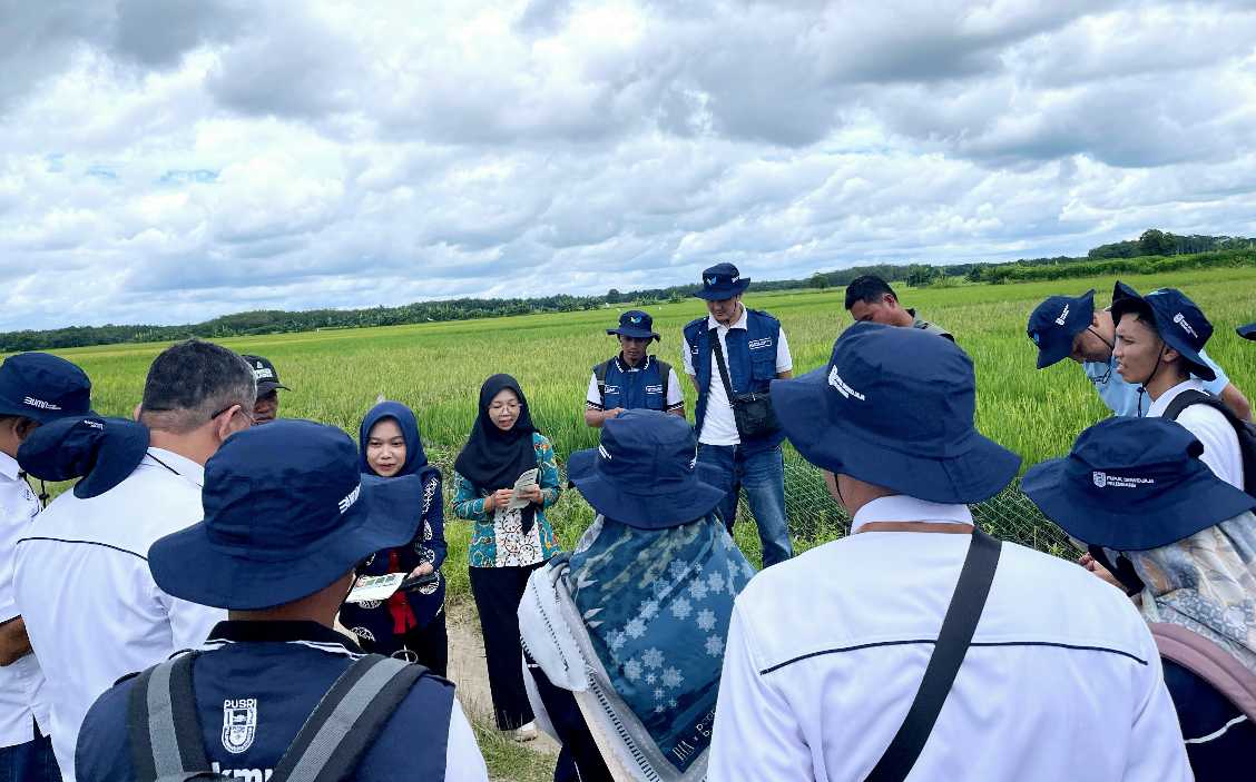 Dukung Swasembada, PT Pusri gandeng Kementan gelar Budidaya Pajale