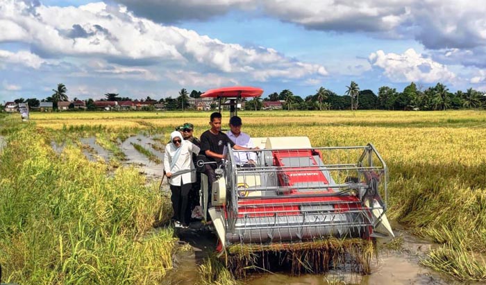 HPP Gabah, Wamentan Kawal Harga Pembelian Pemerintah di Ogan Ilir Sumsel