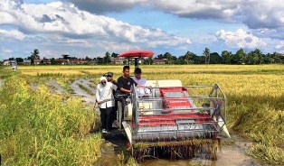 HPP Gabah, Wamentan Kawal Harga Pembelian Pemerintah di Ogan Ilir Sumsel