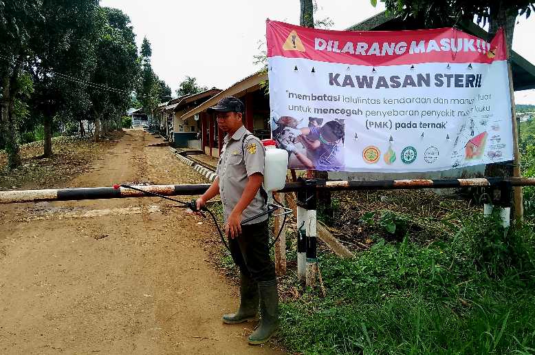 Cegah Wabah Penyakit Mulut dan Kuku, Polbangtan Kementan Perketat Biosecurity